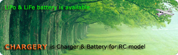 chargery power is charger and battery for RC model